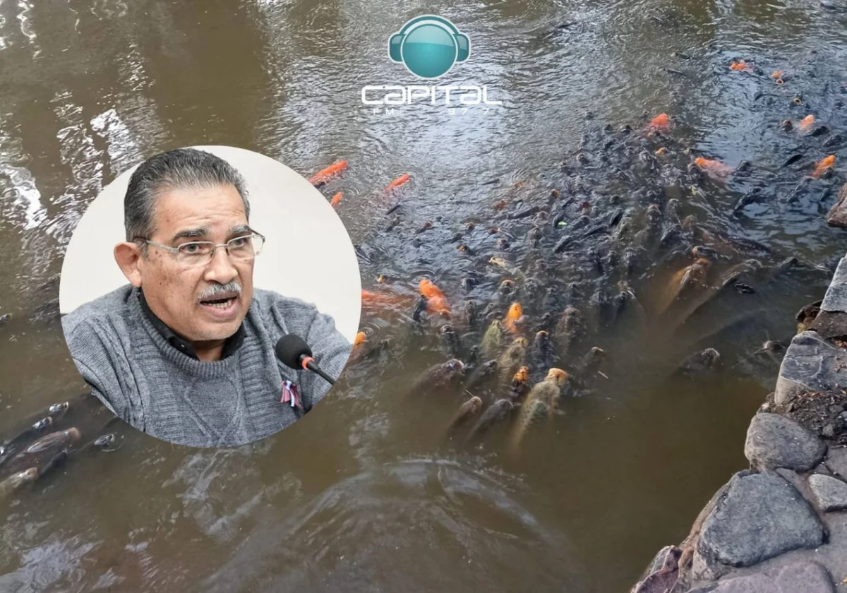 Muerte De Peces En El Parque San Mart N Eso Est Contaminado Salta